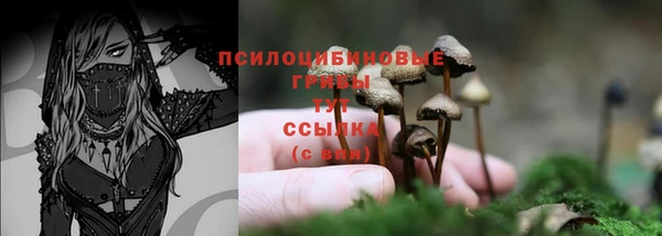 кокс Абаза