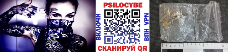 мориарти клад  Тогучин  Галлюциногенные грибы мицелий  где найти наркотики 